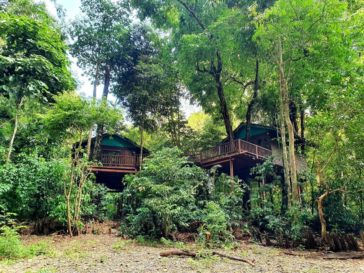 Our Jungle House Resort
