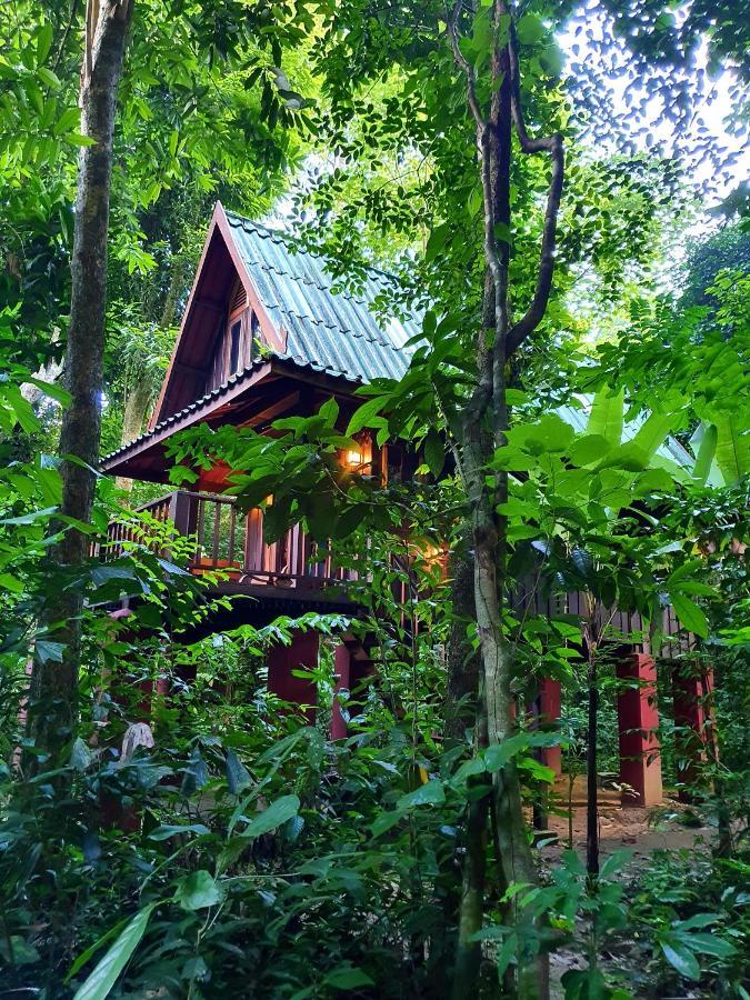 Resort Our Jungle House Khao Sok National Park