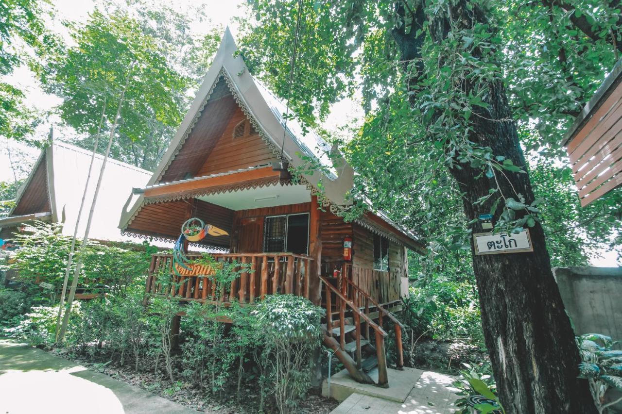 Akchanok 2*