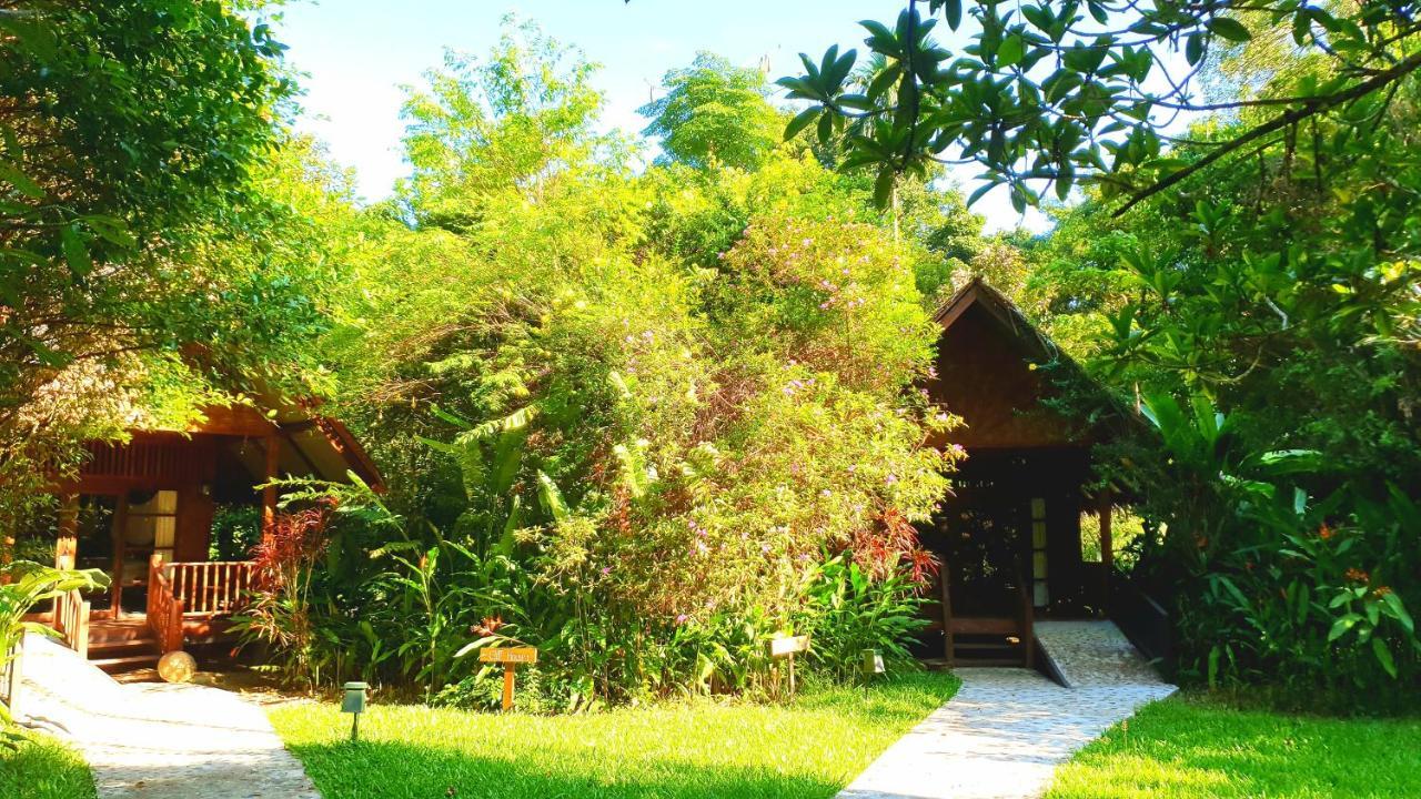 Our Jungle House Resort Khao Sok National Park