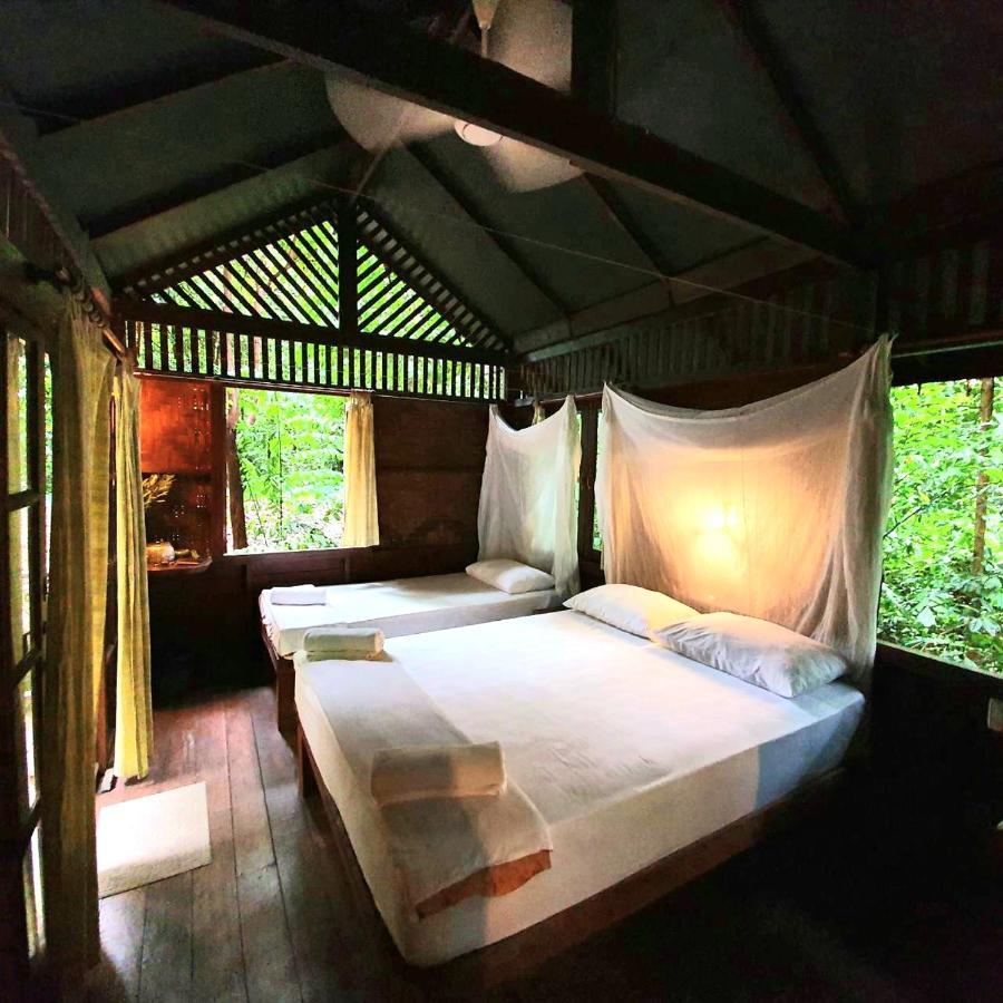 Our Jungle House