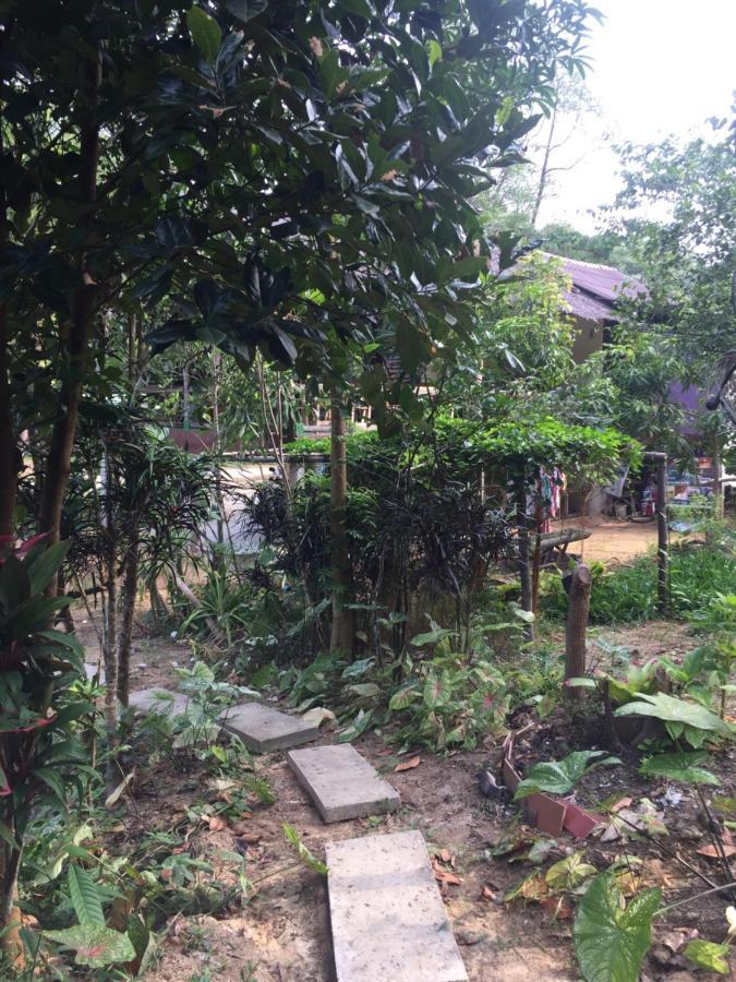 Phayam Garden View 2* Koh Phayam