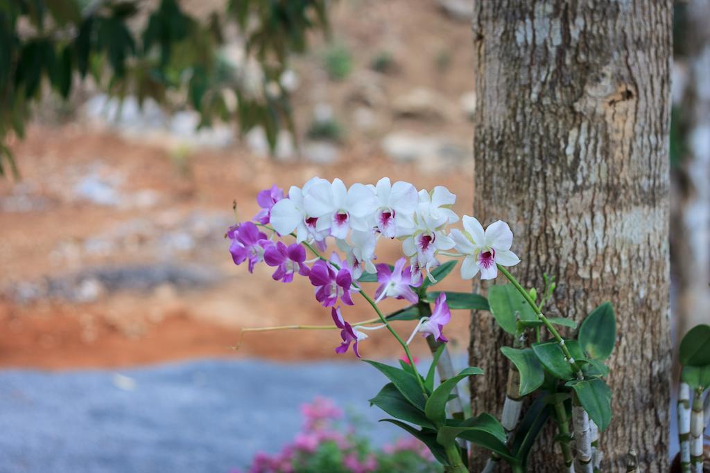 Chaison Hill Resort Khanom
