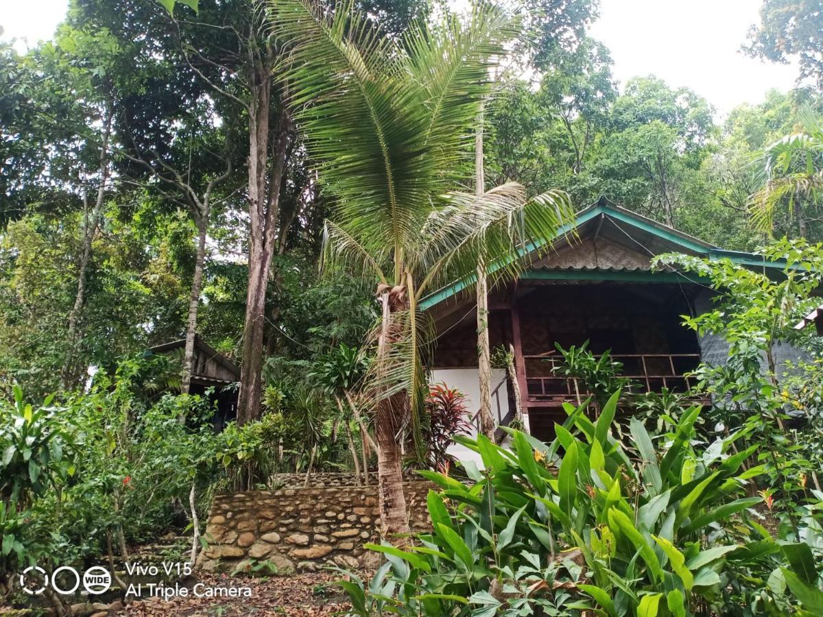 Mama's Resort 3*