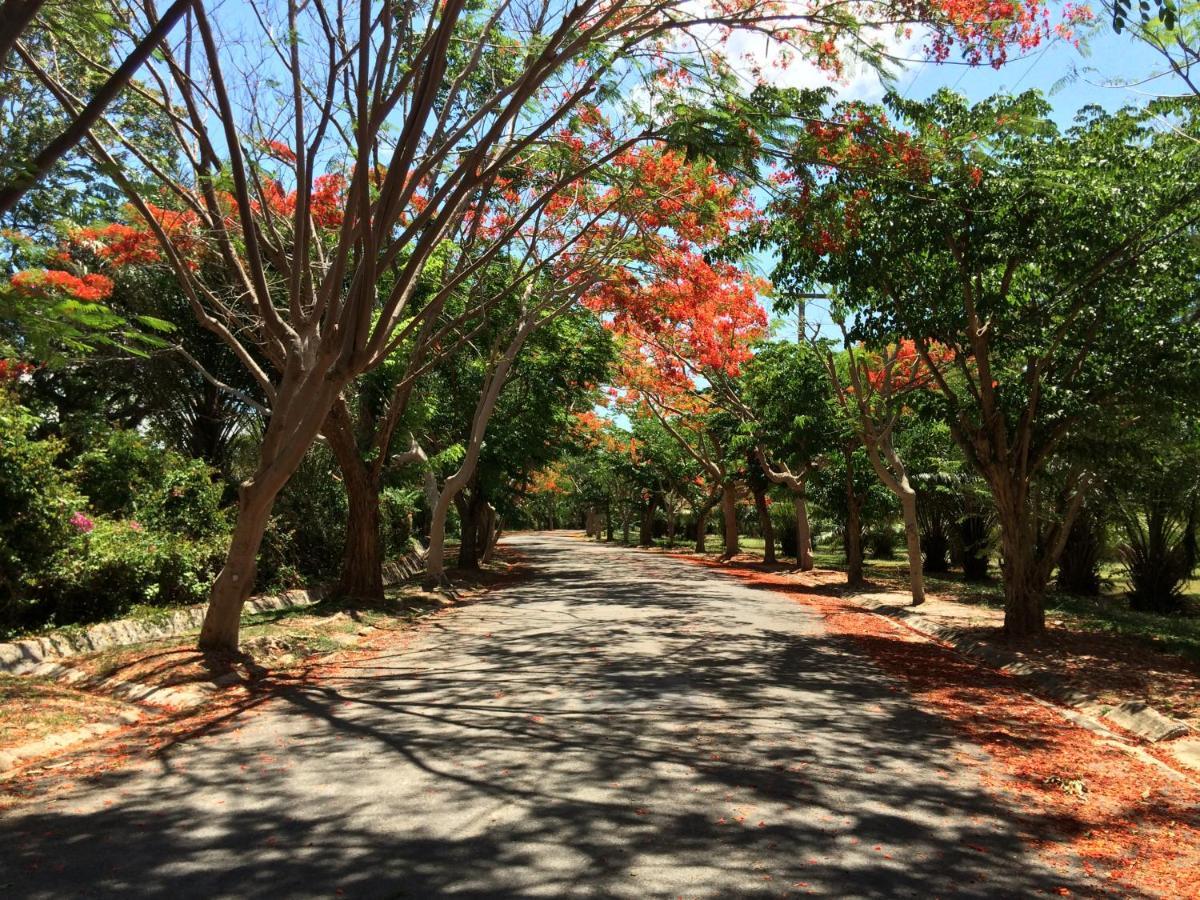 Tamarind Villa