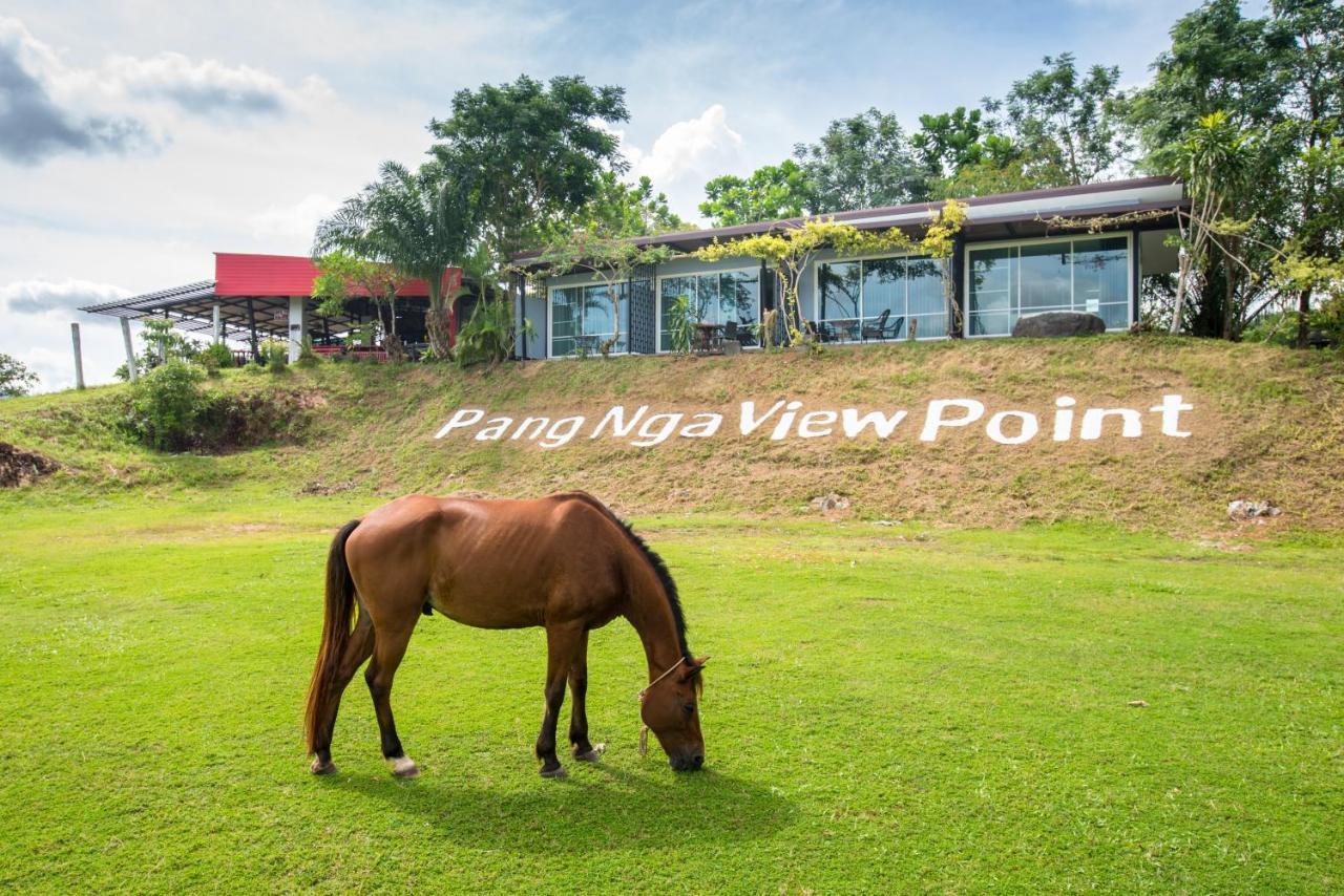 Viewpoint