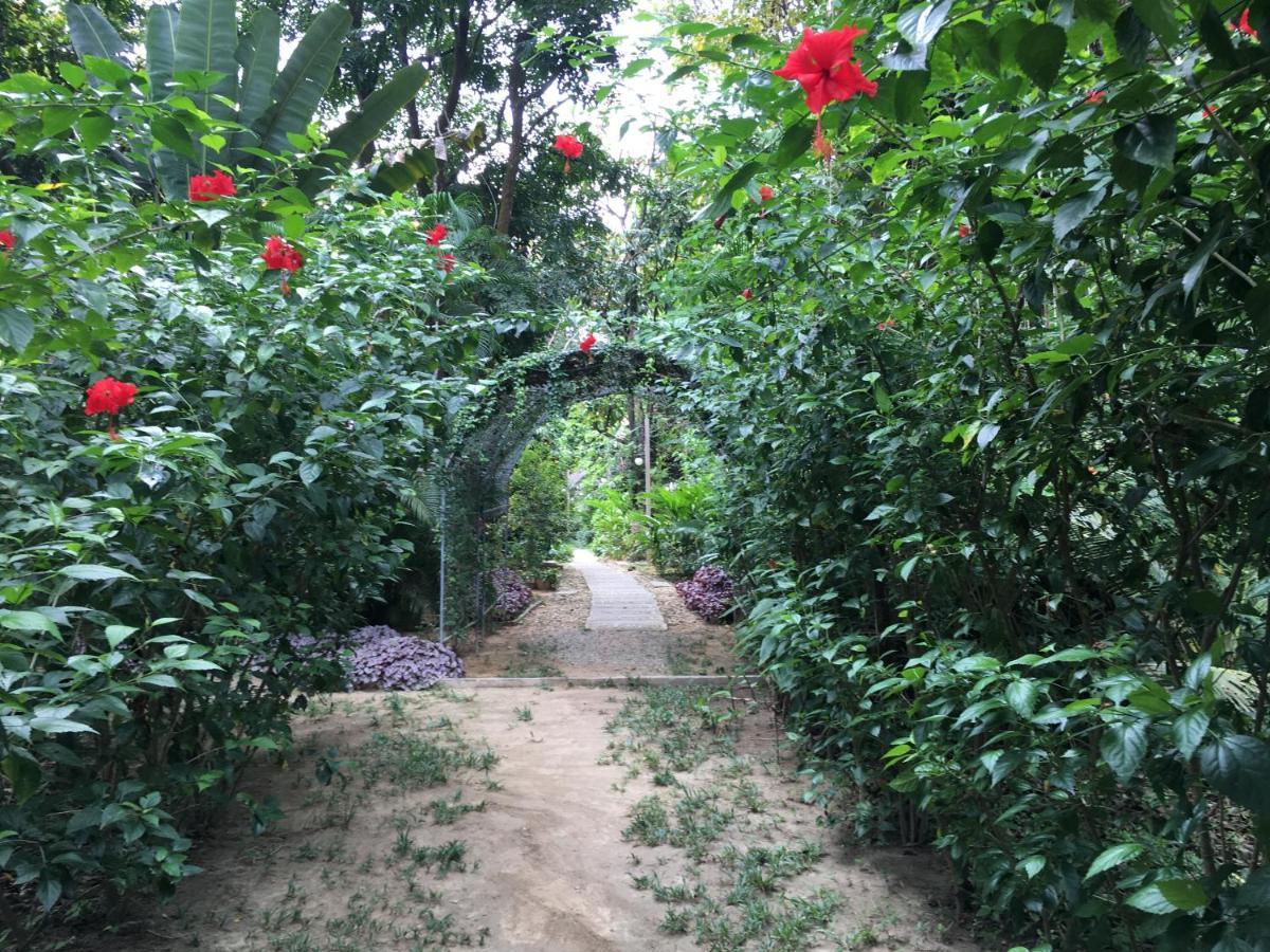 Starlight Homestay *