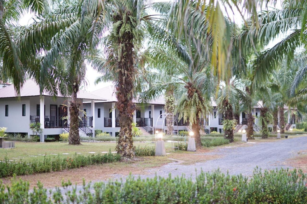 Palm Scenery * Takuapa
