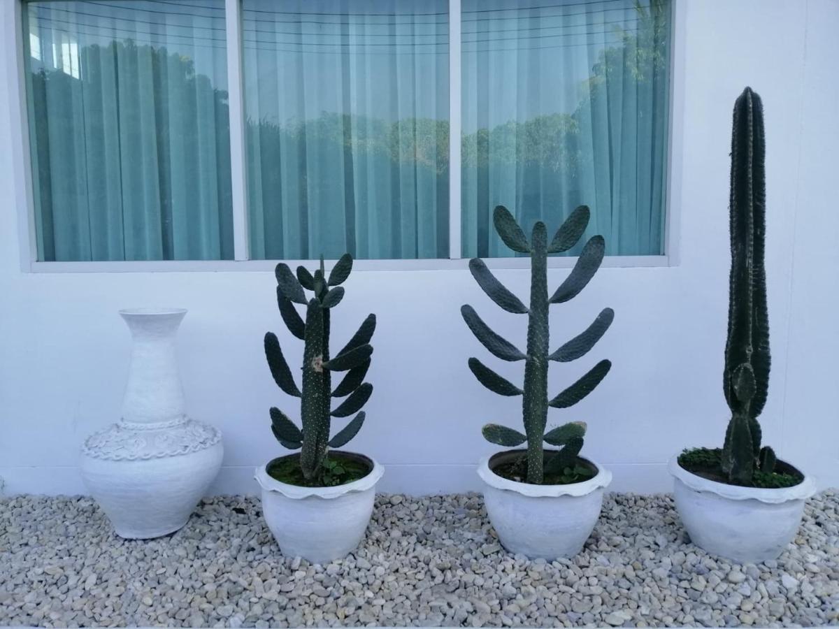 Hotel Patra Agaligotel