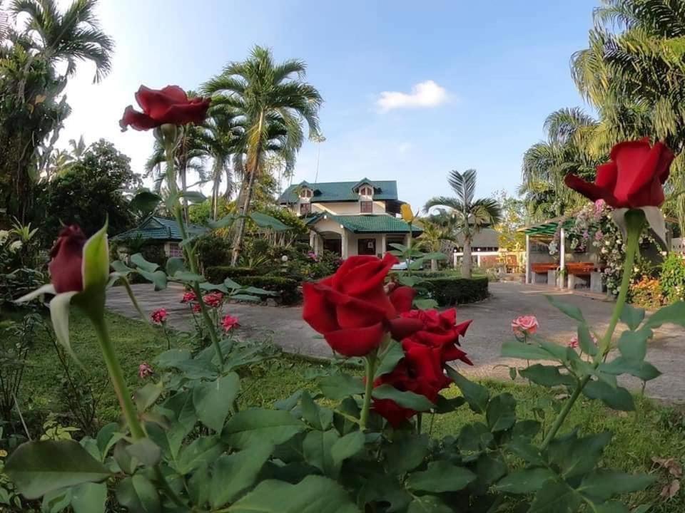 Resort Ekman Garden 3*