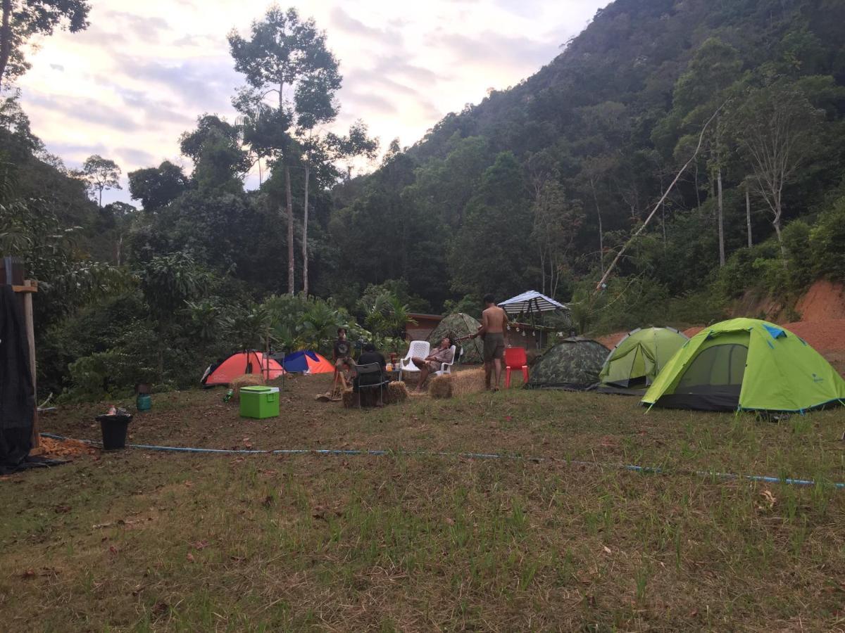 Homestay Homebar