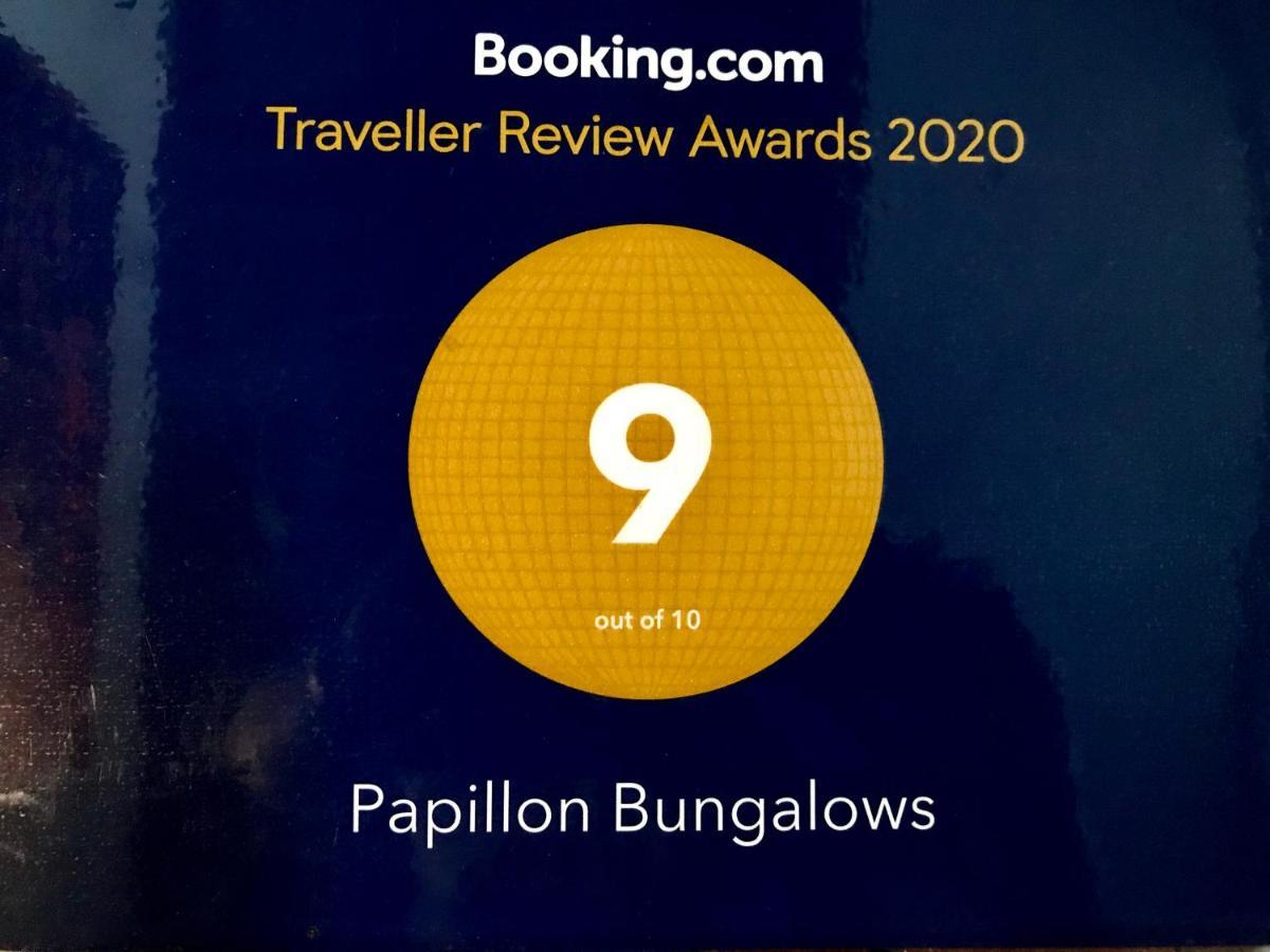 Papillon 3*