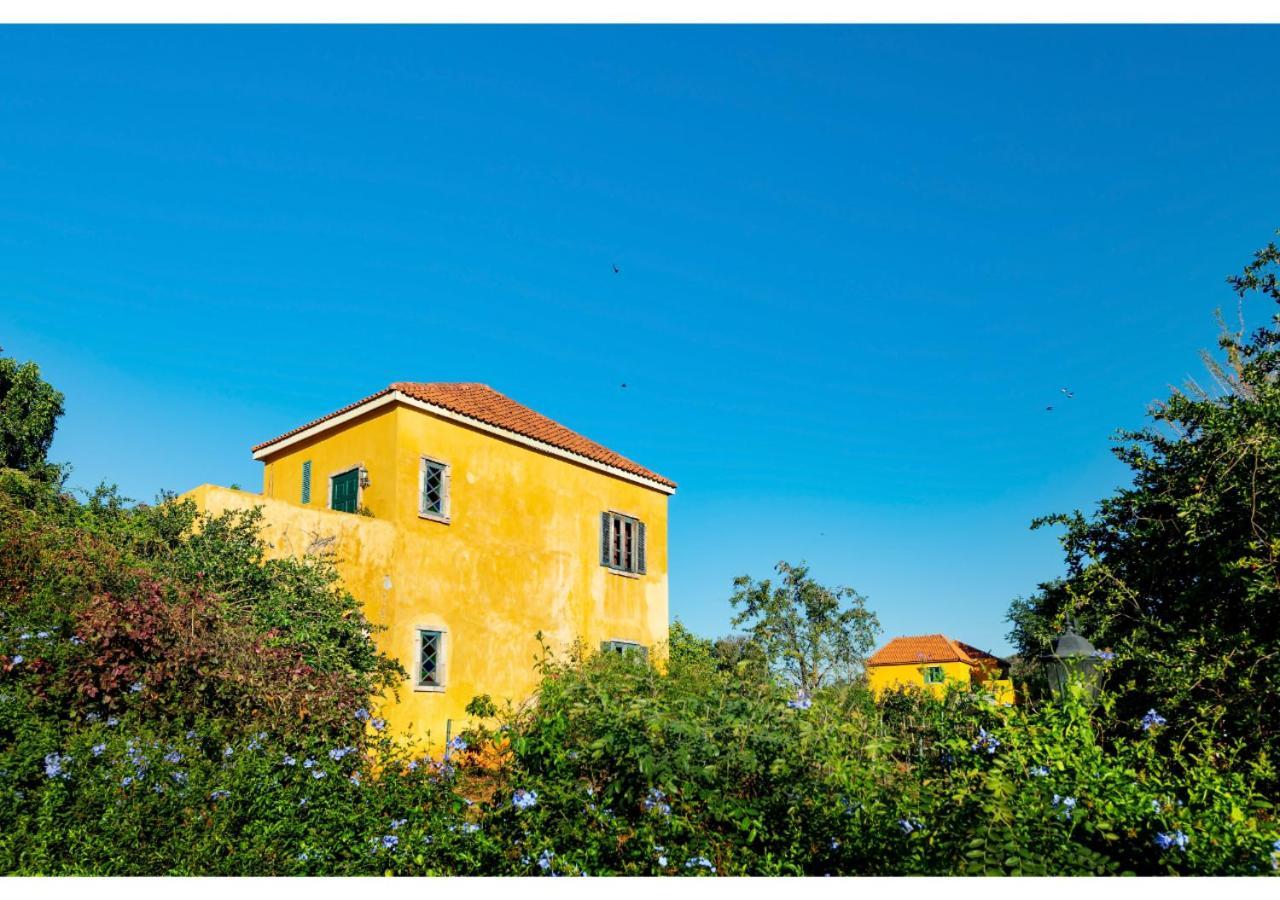 Davinci Di Khaoyai