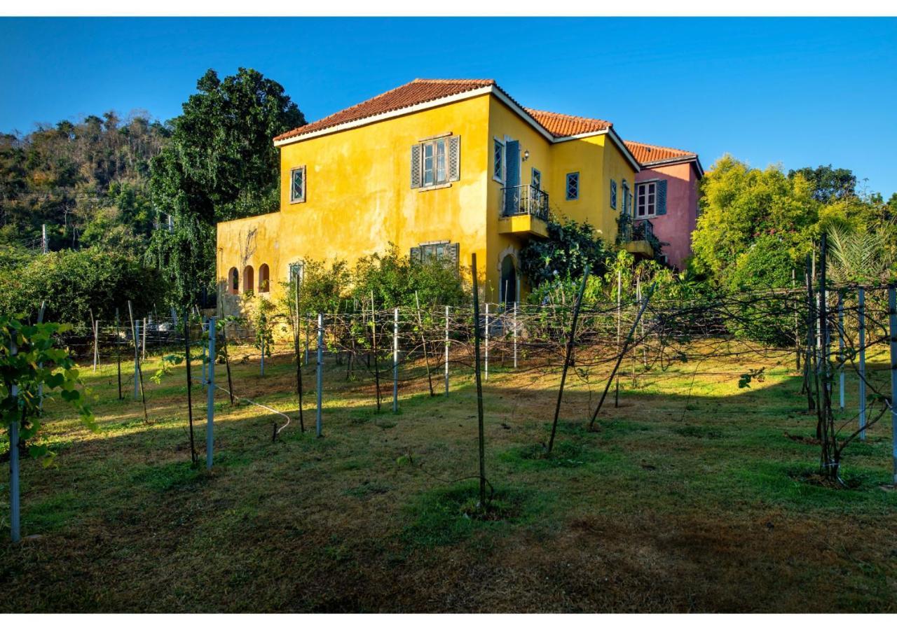 Davinci Di Khaoyai 3*