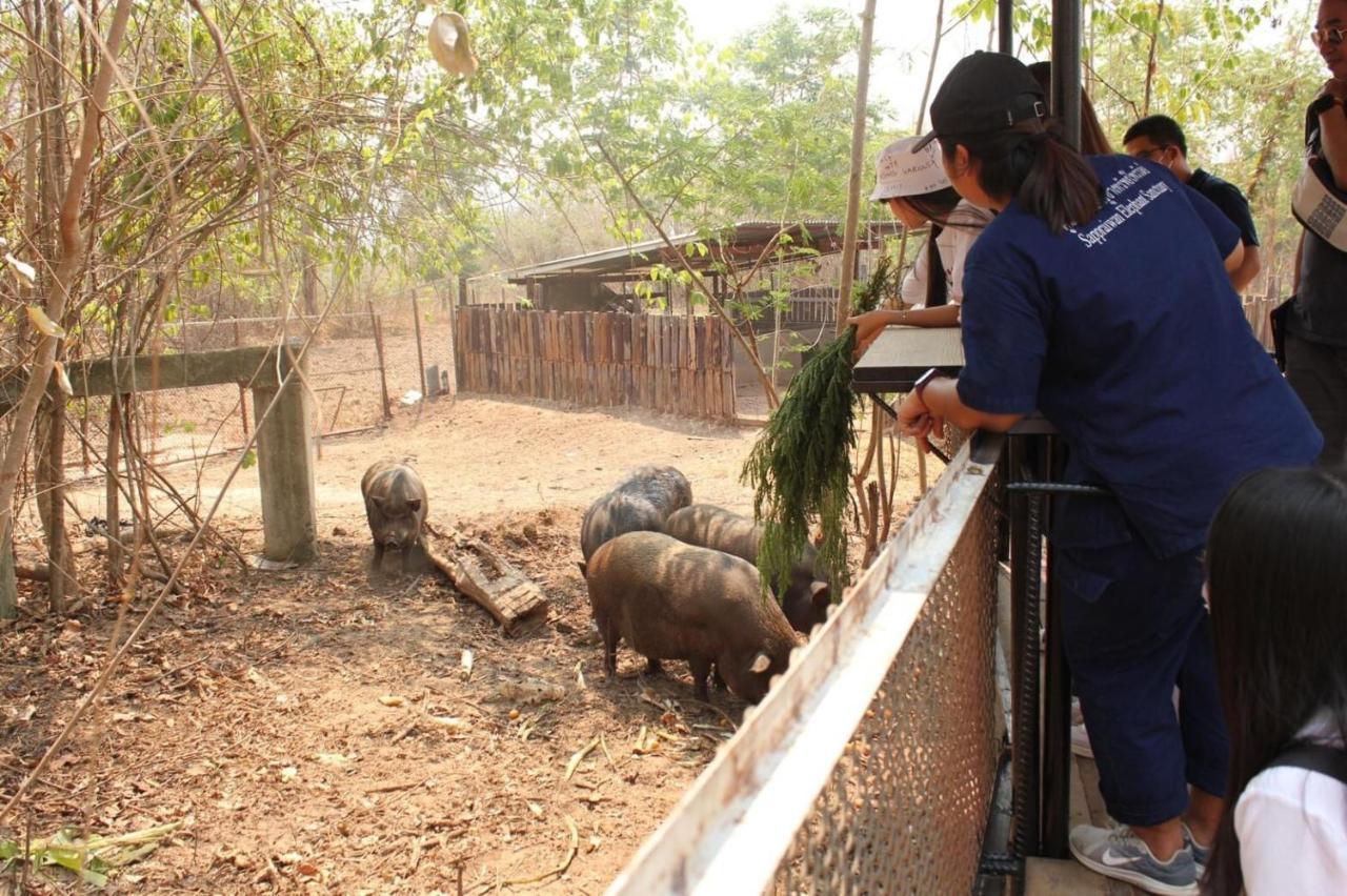 Resort Sappraiwan Elephant & Sanctuary 3*