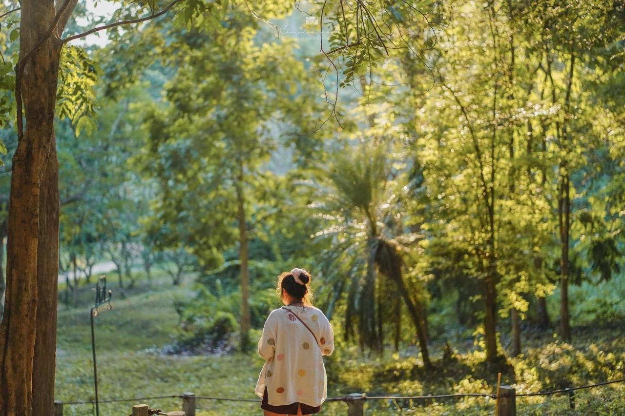 Sappraiwan Elephant & Sanctuary Resort 3*