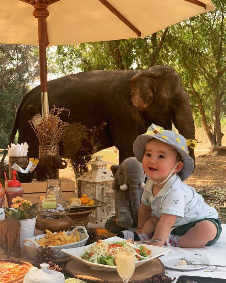 Sappraiwan Elephant & Sanctuary