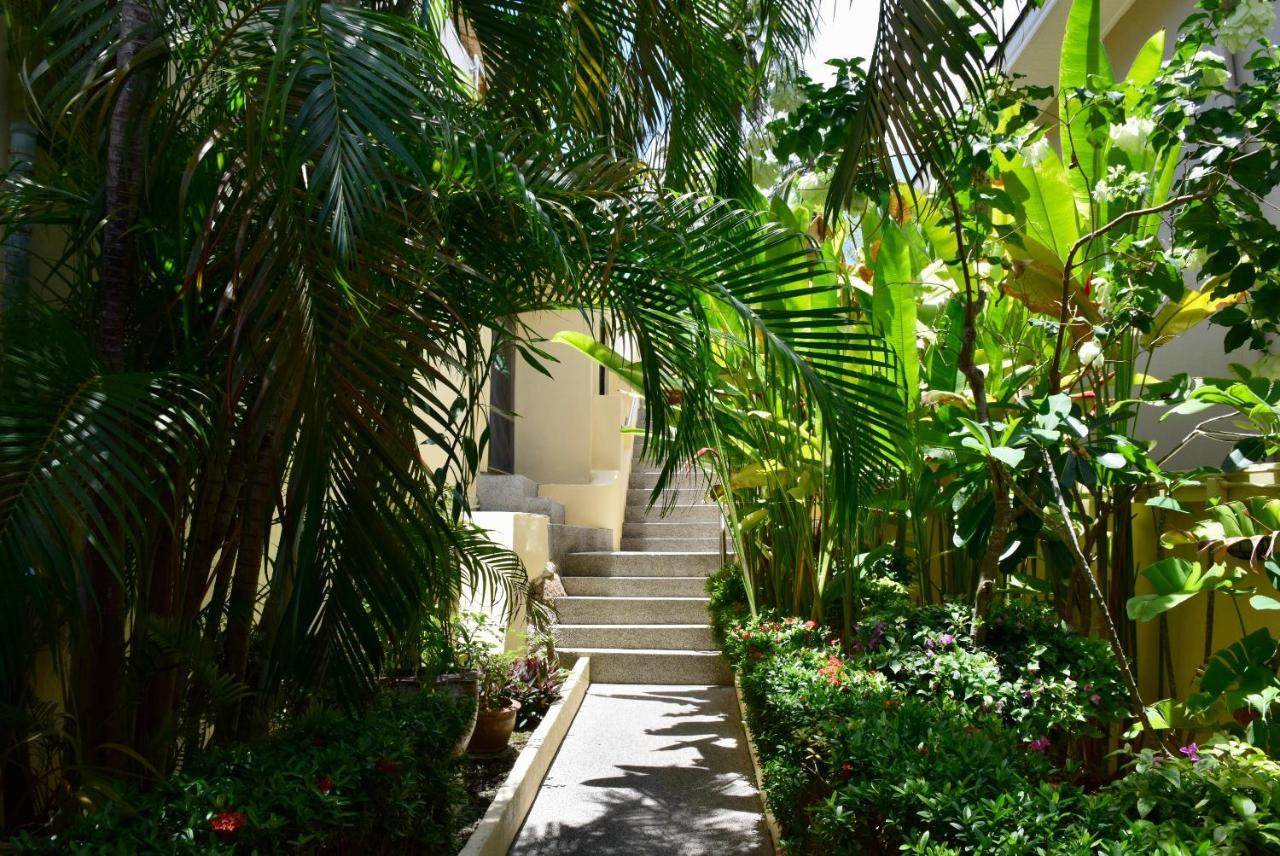 Angelot Guest house