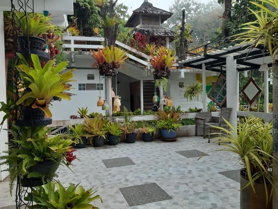 Banthorphan 3*