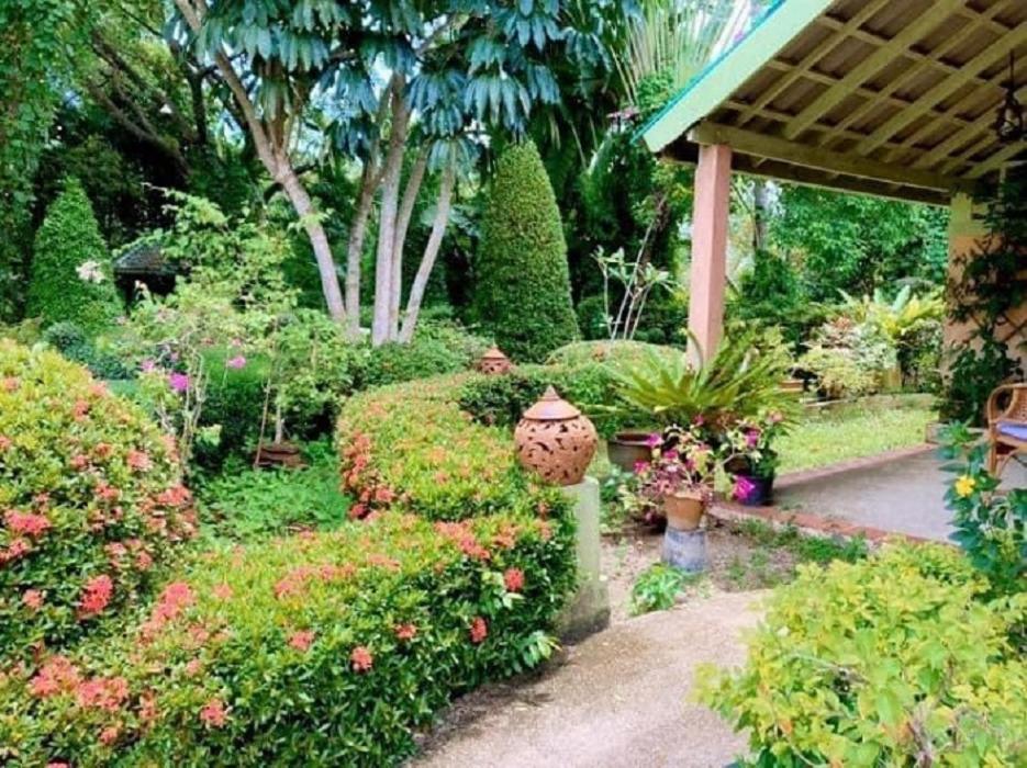 Ekman Garden Sichon