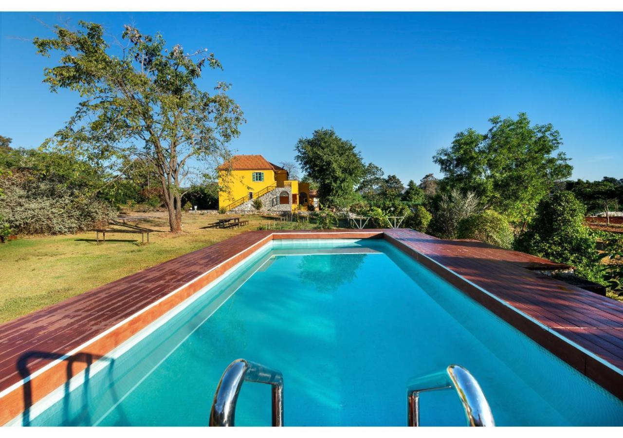 Davinci Di Khaoyai 3*