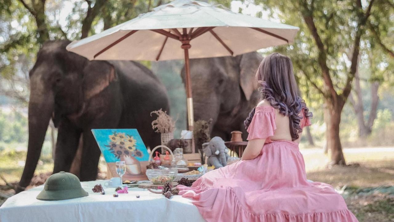 Sappraiwan Elephant & Sanctuary Kaengsopha