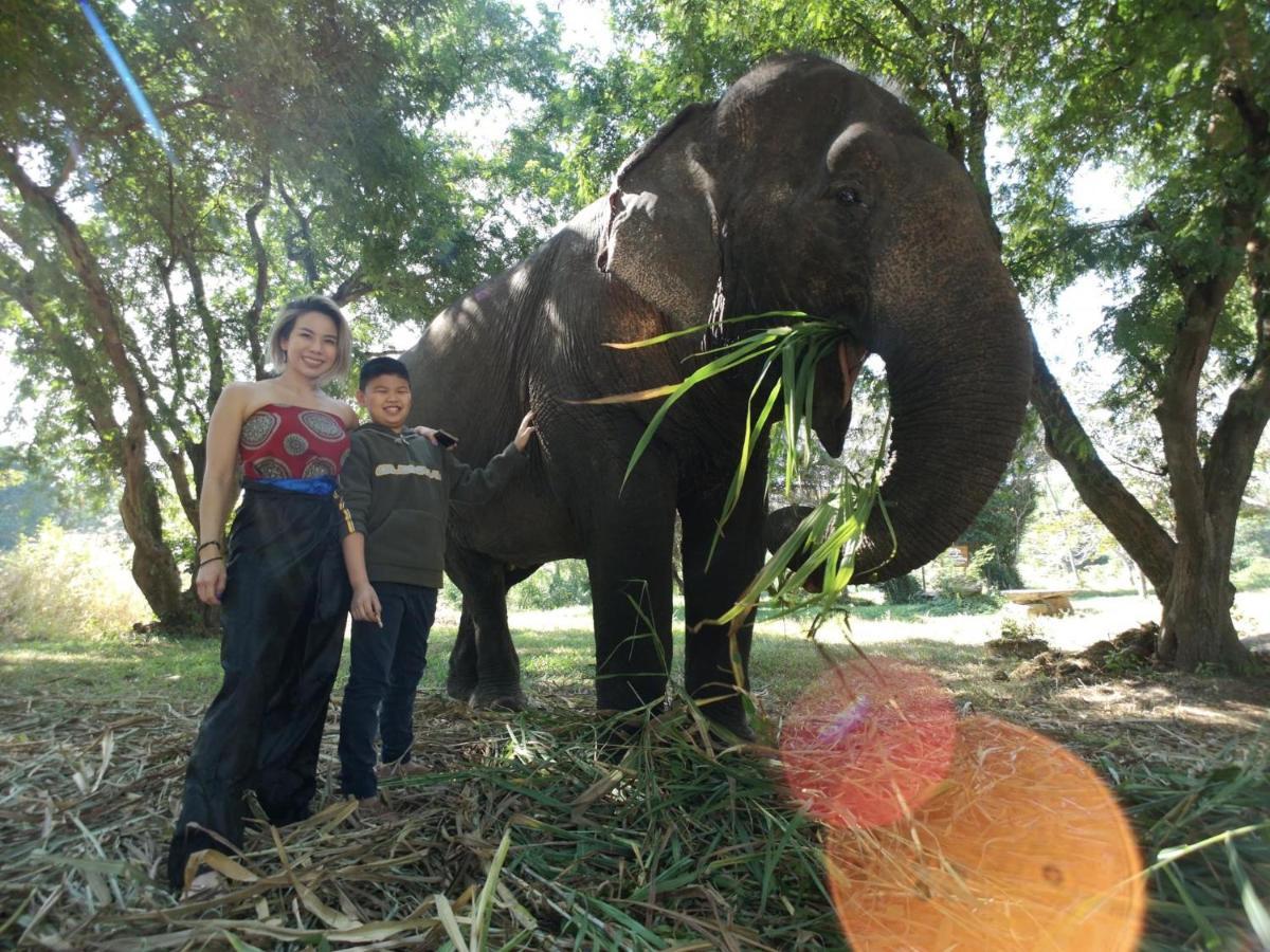 Sappraiwan Elephant & Sanctuary Kaengsopha