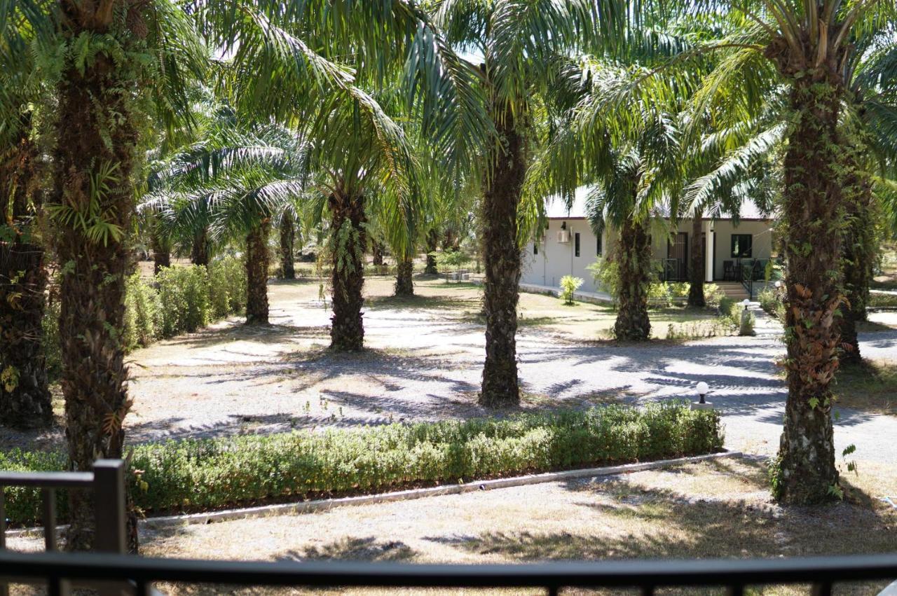 Palm Scenery Takuapa