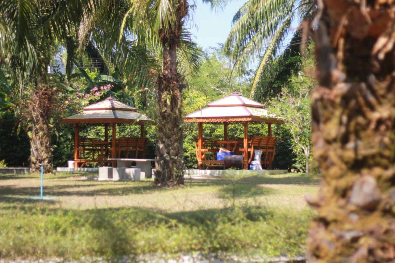 Palm Scenery