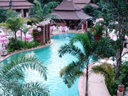 Grand Orchid