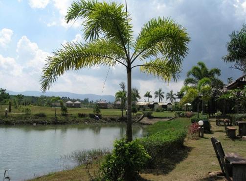 Holiday park Busai Country View 3*