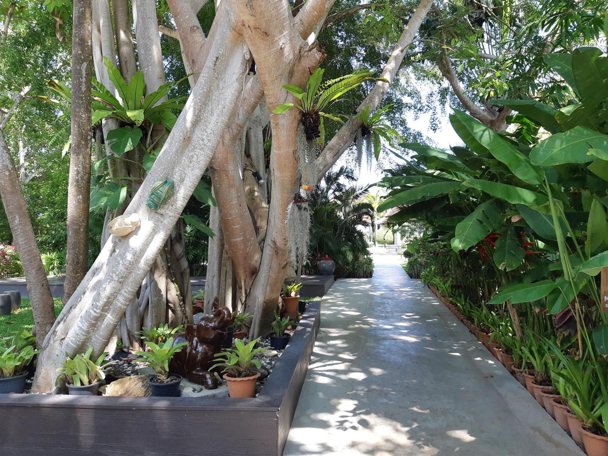 Baan Thai Lanta Resort