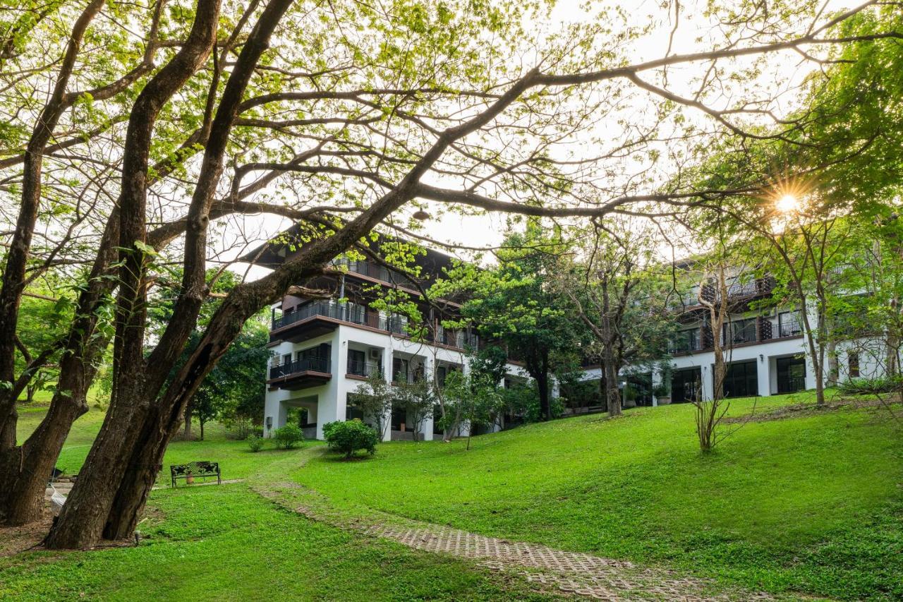 Rain Tree Khao Yai Pakchong