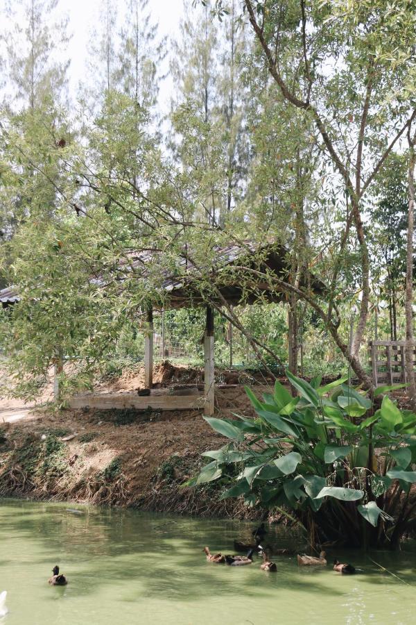 Resort Tubtao Sleepy Hill Pong Talong