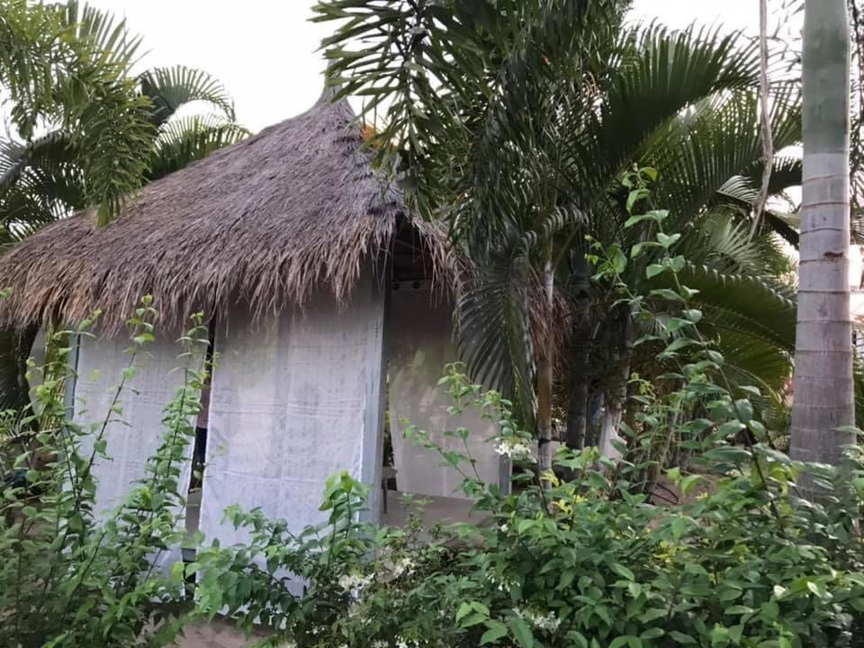 Tinna Ban Nong Mai Ngam