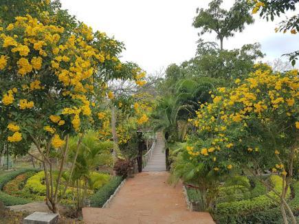 Chez Piera Resort Nakhon Ratchasima