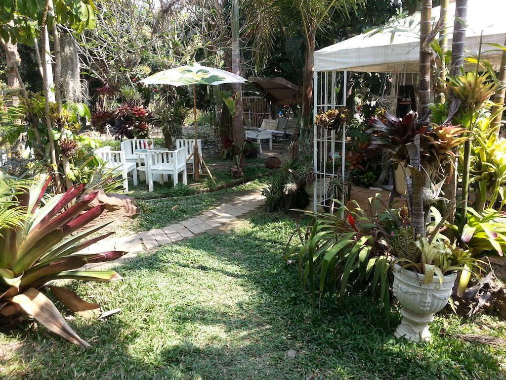 Pallada Bromeliads Garden And * Mae Rim