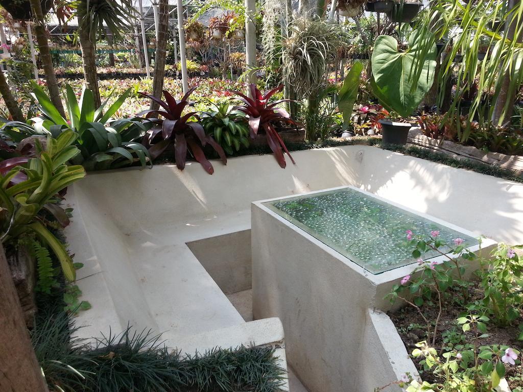 Pallada Bromeliads Garden And Farm stay