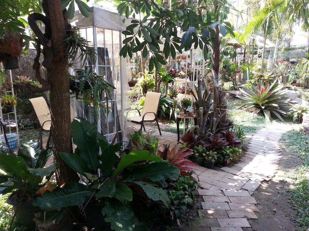 Pallada Bromeliads Garden And *