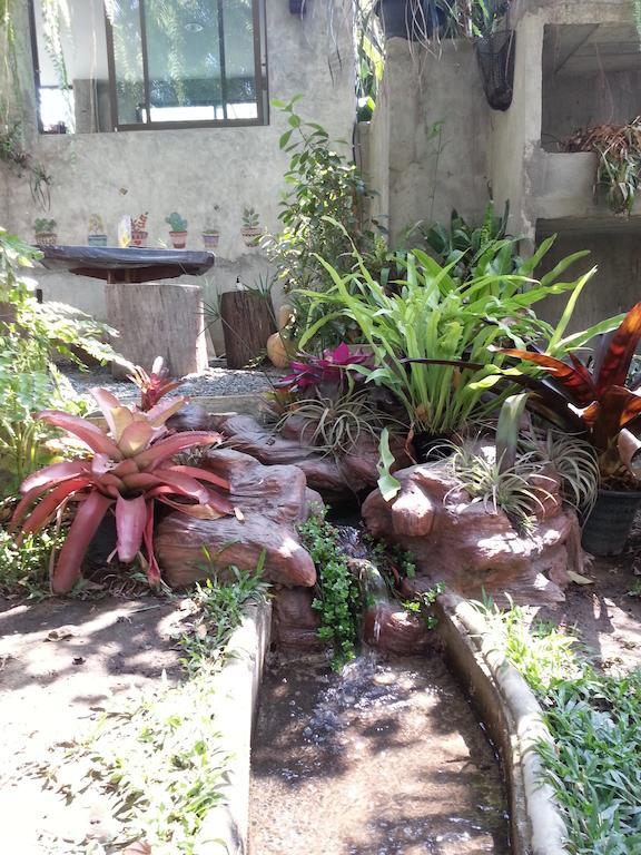 Pallada Bromeliads Garden And Farm stay