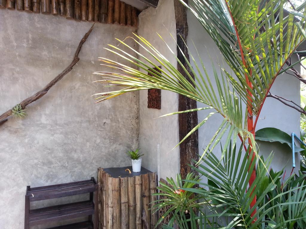 Pallada Bromeliads Garden And Farm stay Mae Rim