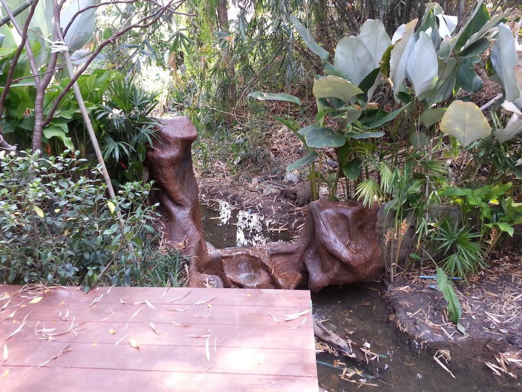 Pallada Bromeliads Garden And *