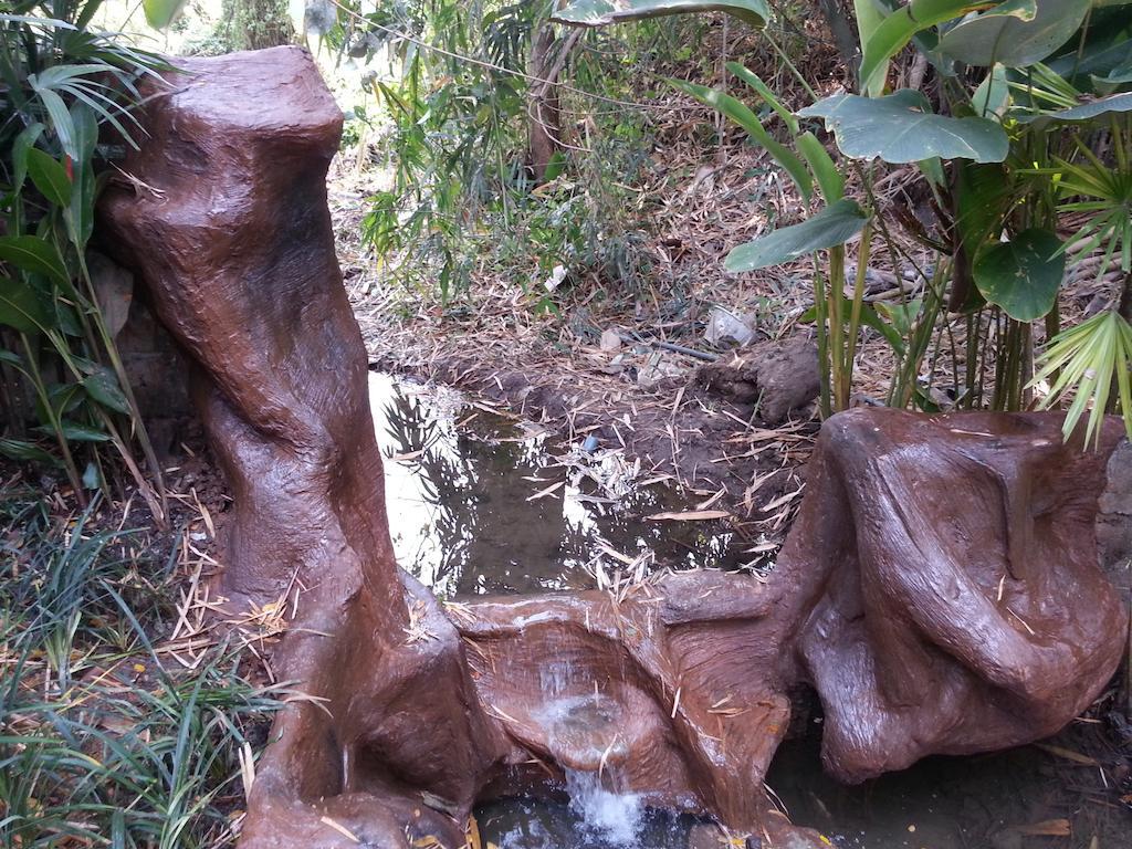 Pallada Bromeliads Garden And Farm stay *