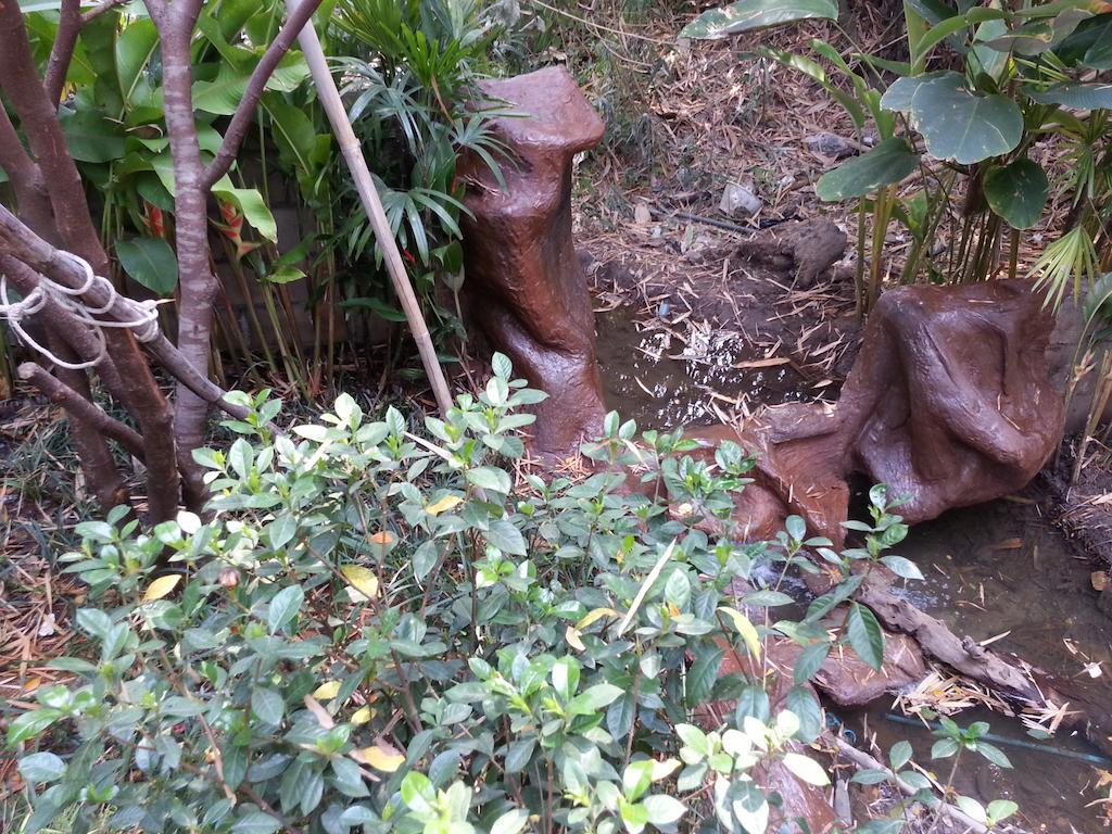 Pallada Bromeliads Garden And Farm stay Mae Rim