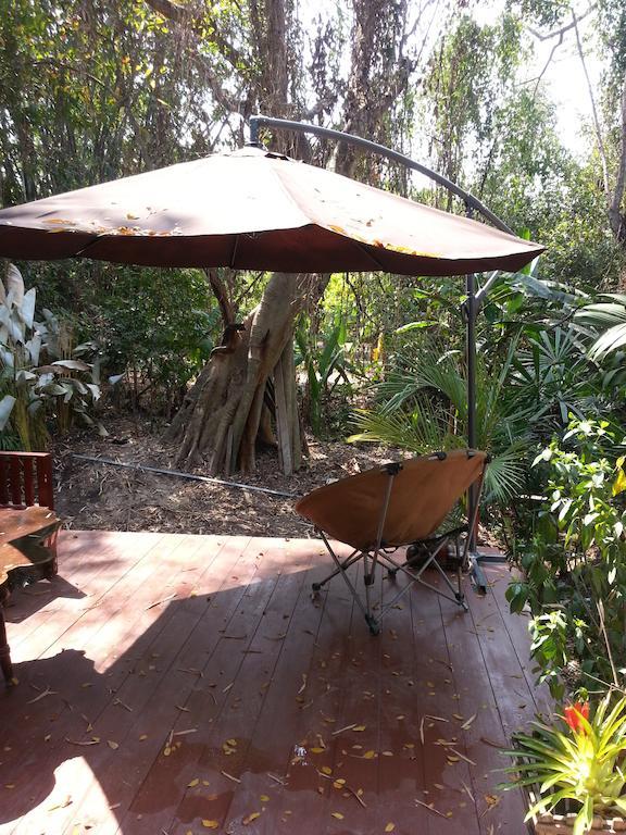 Pallada Bromeliads Garden And *