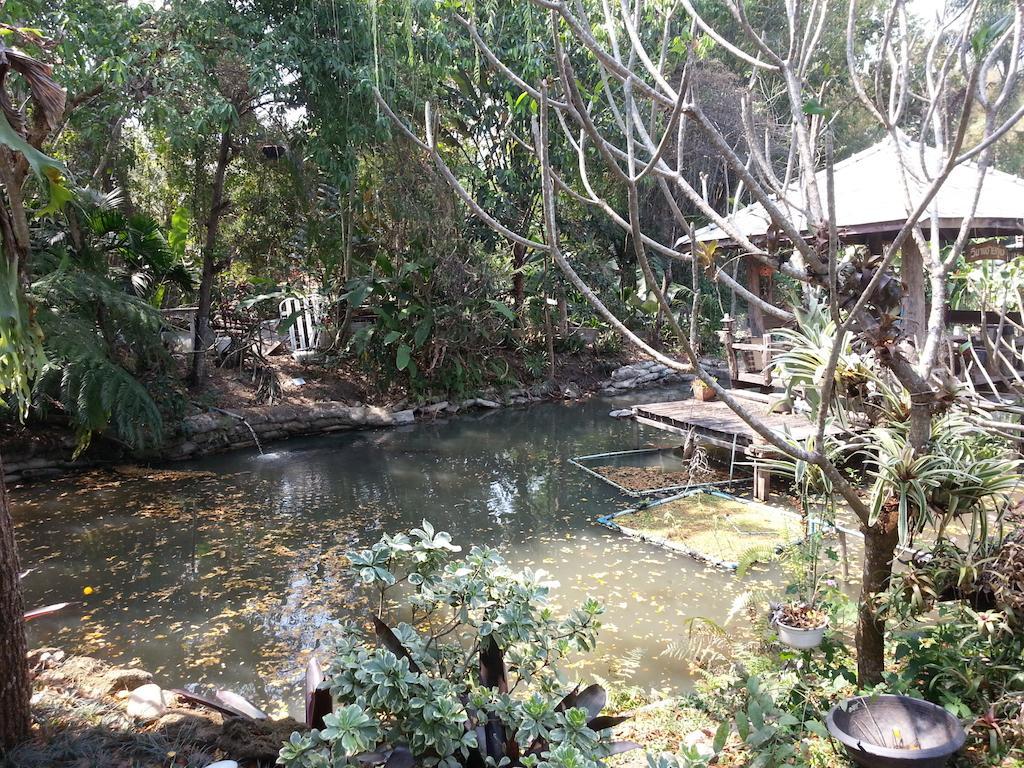 Pallada Bromeliads Garden And Farm stay