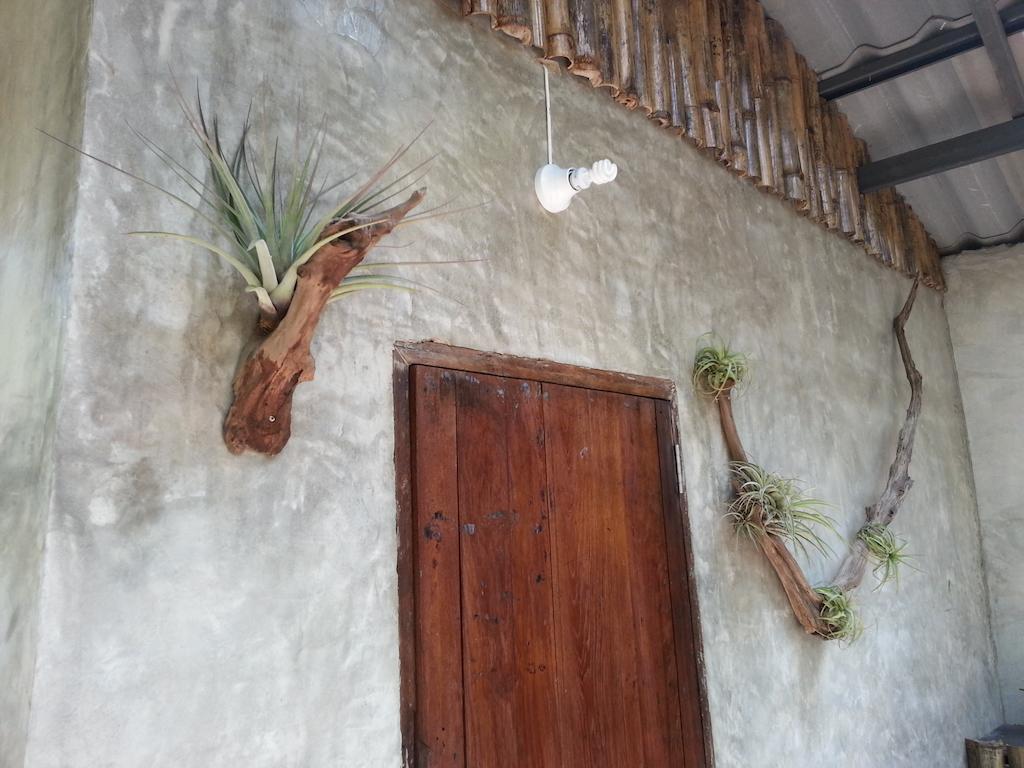 Pallada Bromeliads Garden And Farm stay *