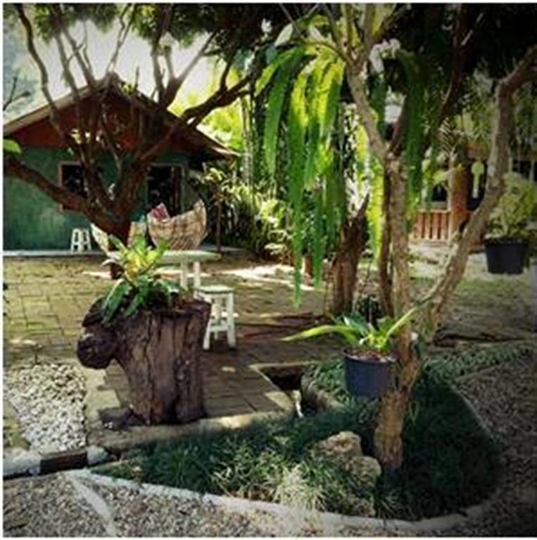 Pallada Bromeliads Garden And *