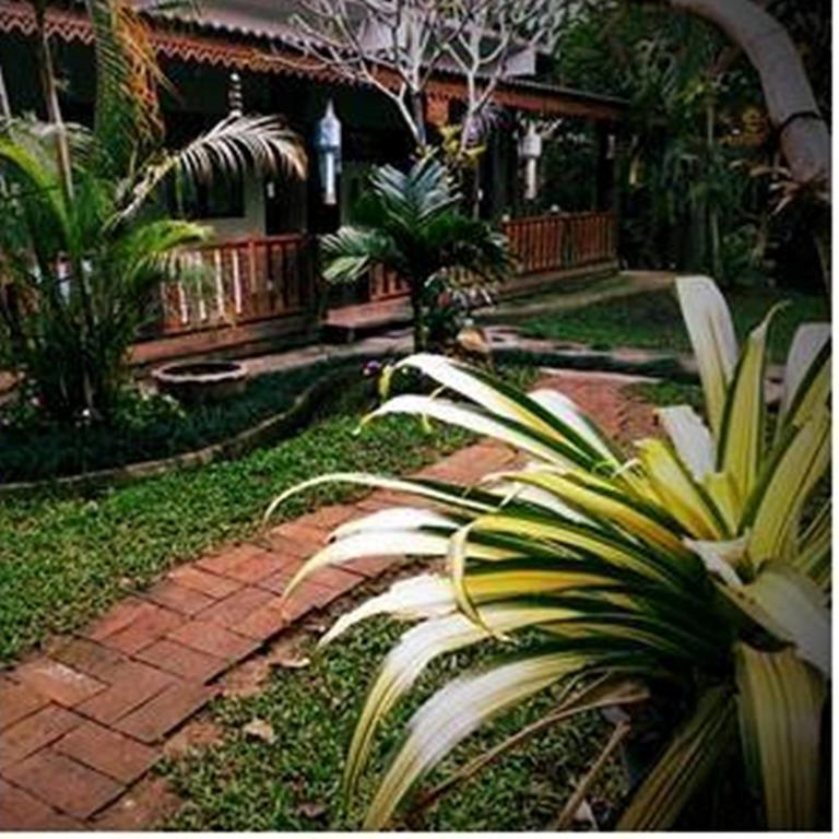 Pallada Bromeliads Garden And Farm stay