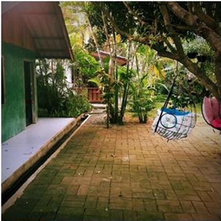 Pallada Bromeliads Garden And * Mae Rim